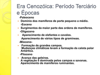 Era Cenozóica: Período Terciário
e Épocas
-Paleoceno
 Domínio dos mamíferos de porte pequeno a médio.
-Eoceno
 Surgimentos da maior parte das ordens de mamíferos.
-Oligoceno
 Aparecimento de elefantes e cavalos.
Aparecimento de vários tipos de gramíneas.
-Mioceno Formação de grandes campos.
Mudanças climáticas levam a formação da calota polar
Antártica.
-Plioceno
 Avanço das geleiras.
A vegetação é dominada pelos campos e savanas.
Aparecimento de mamíferos ruminantes.

 