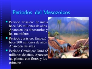 Períodos del Mesozoicos
 Período Triásico: Se inicia
hace 245 millones de años.
Aparecen los dinosaurios y
los mamíferos
 Período Jurásico: Empezó
hace 200 millones de años.
Aparecen las aves.
 Período Cretácico: Duró 65
millones de años. Aparecen
las plantas con flores y los
primates
 