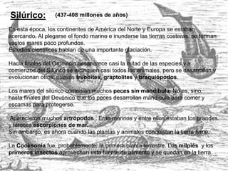Silúrico:
En esta época, los continentes de América del Norte y Europa se estaban
acercando. Al plegarse el fondo marino e inundarse las tierras costeras, se forman
vastos mares poco profundos.
Estudios científicos hablan de una importante glaciación.
Hacia finales del Ordovicio desaparece casi la mitad de las especies y a
comienzos del Silúrico se extinguen casi todos los animales, pero se desarrollan y
evolucionan otros: nuevos trilobites, graptolites y braquiópodos.
Los mares del silúrico contenían muchos peces sin mandíbula. No es, sino,
hasta finales del Devónico que los peces desarrollan mandíbula para comer y
escamas para protegerse.
Aparecieron muchos artrópodos . Eran marinos y entre ellos estaban los grandes
y feroces escorpiones de mar.
Sin embargo, es ahora cuando las plantas y animales conquistan la tierra firme.
La Cooksonia fue, probablemente, la primera planta terrestre. Los milpiés y los
primeros insectos aprovechan esta fuente de alimento y se quedan en la tierra.
(437-408 millones de años)
 