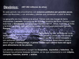 Devónico:
En este periodo nos encontramos con océanos poblados por grandes peces,
como los tiburones; y con animales y plantas que comienzan a cubrir la tierra.
La geografía era muy distinta a la actual. Habían solo dos masas de tierra
importantes: Laurasia, formada por las actuales América del Norte, Europa y casi
toda Asia; y Gondwana, compuesta por América del sur, África, Australia, la India
y la Antártica. Es en este período en que se forma el supercontinente llamado
Pangea.
Las aguas del Devónico bullían de vida. Habían lirios de mar, arrecifes de coral,
algas como el Fucus, Ulva y Ceratium . A los primeros peces sin mandíbula se
le unieron pronto los peces con espinas. Habían peces con aletas lobuladas y
con pulmones para respirar. Fueron estos peces los que desarrollaron patas y
dieron origen al Ichthyostega, el primer anfibio que caminó fuera del agua
para alimentarse de las plantas.
Las plantas evolucionaron y surgen los licopodios, equisetos y helechos. Se
formaron los primeros bosques terrestres, en los que comenzaron a vivir milpiés,
ciempiés, insectos, ácaros y arañas.
(407-362 millones de años)
 