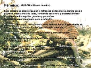 Pérmico:
Este periodo se caracteriza por el retroceso de los mares, dando paso a
grandes extensiones de tierra, formando desiertos y desarrollándose
masivamente los reptiles grandes y pequeños.
Tambien desaparecen lagos poco profundos.
El nombre “Pérmico” deriva de una zona llamada Perm, Rusia, donde se
han encontrado muchos fósiles que datan de la época.
También había muchos bosques de abetos y elevados pinos.
Los continentes, derivaron hacia el norte y los helados glaciares se
movieron hacia el sur.
Los reptiles pequeños y los grandes, se instalaron definitivamente en
tierra usando el aire par respirar, mientras que otros animales,
permanecieron en el agua.
Sin que se conozca causa aparente, a finales de la época pérmica, gran
cantidad de seres vivos se hallan en extinción.
Aun permanece la Pangea, aunque con señales de futura separación.
(289-246 millones de años)
 