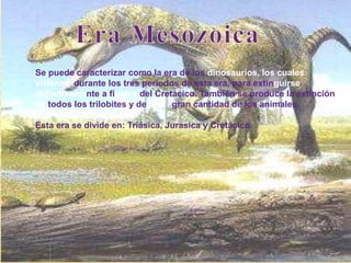 Se puede caracterizar como la era de los dinosaurios, los cuales
vivieron durante los tres periodos de esta era, para extinguirse
definitivamente a finales del Cretácico. También se produce la extinción
de todos los trilobites y de una gran cantidad de los animales.
Esta era se divide en: Triásica, Jurasica y Cretácico.
 