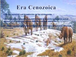 Esta era comenzó con la extinción de los dinosaurios .
Los continentes adquieren paulatinamente el aspecto y situación actual
aunque, al principio, el océano Atlántico era mas estrecho.
Se divide en varios periodos: el Paleoceno, el Eoceno, Oligoceno, Mioceno
y Plioceno.
 