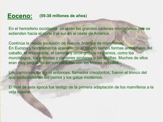 Eoceno:
En el hemisferio occidental, se alzan las grandes cadenas montañosas que se
extienden hacia el norte y el sur en el oeste de América.
Continúa la rápida evolución de nuevos órdenes de mamíferos.
En Europa y Norteamérica aparecieron al mismo tiempo formas ancestrales del
caballo, el rinoceronte, el camello y otros grupos modernos, como los
murciélagos, los primates y roedores similares a las ardillas. Muchos de ellos
eran muy pequeños en comparación con las formas actuales.
Los carnívoros de aquel entonces, llamados creodontos, fueron el tronco del
que evolucionarían los perros y los gatos modernos.
El final de esta época fue testigo de la primera adaptación de los mamíferos a la
vida marina.
(55-38 millones de años)
 