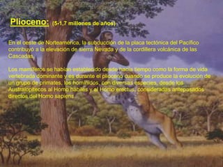En el oeste de Norteamérica, la subducción de la placa tectónica del Pacífico
contribuyó a la elevación de sierra Nevada y de la cordillera volcánica de las
Cascadas.
Los mamíferos se habían establecido desde hacía tiempo como la forma de vida
vertebrada dominante y es durante el plioceno cuando se produce la evolución de
un grupo de primates, los homínidos, con diversas especies, desde los
Australopitecos al Homo hábiles y al Homo erectus, consideradas antepasados
directos del Homo sapiens.
Plioceno: (5-1,7 millones de años)
 