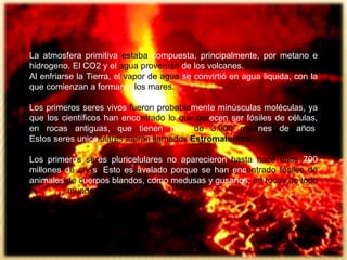 La atmosfera primitiva estaba compuesta, principalmente, por metano e
hidrogeno. El CO2 y el agua provenían de los volcanes.
Al enfriarse la Tierra, el vapor de agua se convirtió en agua liquida, con la
que comienzan a formarse los mares.
Los primeros seres vivos fueron probablemente minúsculas moléculas, ya
que los científicos han encontrado lo que parecen ser fósiles de células,
en rocas antiguas, que tienen mas de 3.000 millones de años.
Estos seres unicelulares fueron llamados Estromatolitos.
Los primeros seres pluricelulares no aparecieron hasta hace unos 700
millones de años. Esto es avalado porque se han encontrado fósiles de
animales de cuerpos blandos, como medusas y gusanos, en rocas de todo
el ..mundo.
 