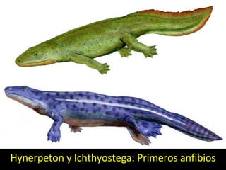 Hynerpeton y Ichthyostega: Primeros anfibios 