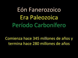 Eón Fanerozoico Era Paleozoica Período Carbonífero Comienza hace 345 millones de años y termina hace 280 millones de años 