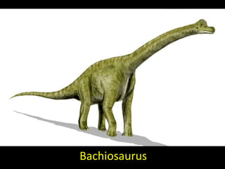 Bachiosaurus 