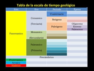 Tabla de la escala de tiempo geológico Eón Era Período Época Fanerozoico Cenozoico (Terciario) Cuaternario Neógeno Paleógeno Oligoceno Eoceno Paleoceno Mesozoico (Secundario) Paleozoico (Primario) Precámbrico Proterozoico Arcaico Hadeico 
