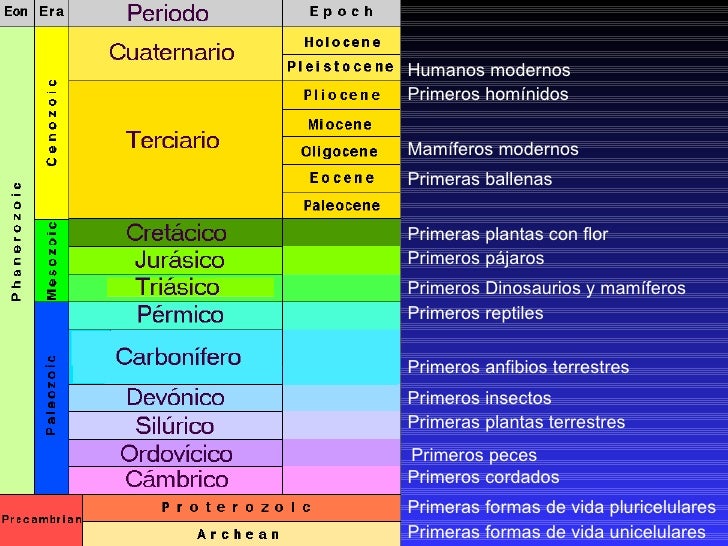 Eras geologicas