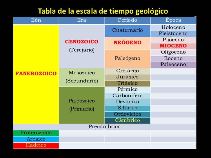 Eras Geologicas el cenozoico Eras Geologicas el cenozoico