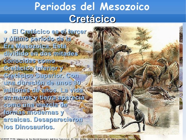 Eras geologicas corregido