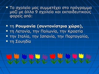  Το σχολείο μας συμμετέχει στο πρόγραμμαΤο σχολείο μας συμμετέχει στο πρόγραμμα
μαζί με άλλα 9 σχολεία και εκπαιδευτικούςμαζί με άλλα 9 σχολεία και εκπαιδευτικούς
φορείς από:φορείς από:
 τητη ΡουμανίαΡουμανία (συντονίστρια χώρα),(συντονίστρια χώρα),
 τη Λετονία, την Πολωνία, την Κροατίατη Λετονία, την Πολωνία, την Κροατία
 την Ιταλία, την Ισπανία, την Πορτογαλία,την Ιταλία, την Ισπανία, την Πορτογαλία,
 τη Σουηδίατη Σουηδία
 