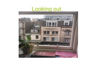 Looking out
 