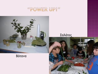 Βότανα
Σαλάτες
 