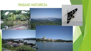 PAISAXE-NATUREZA
 
