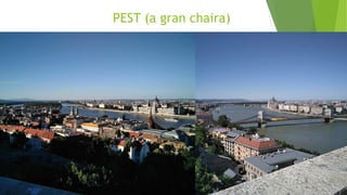 PEST (a gran chaira)
 