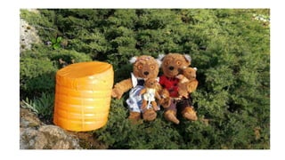 Erasmus city   Latvia