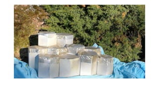 Erasmus city   Latvia