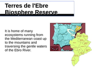 Terres de l'EbreTerres de l'Ebre
Biosphere ReserveBiosphere Reserve
It is home of many
ecosystems running from
the Mediterranean coast up
to the mountains and
traversing the gentle waters
of the Ebro River.
 