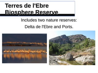 Terres de l'EbreTerres de l'Ebre
Biosphere ReserveBiosphere Reserve
Includes two nature reserves:
Delta de l'Ebre and Ports.
 