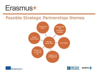 Possible Strategic Partnerships themes

 