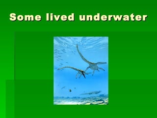 Some lived underwater 