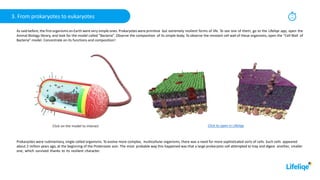 15
min
3. From prokaryotes to eukaryotes
As said before, the first organisms on Earth were very simple ones. Prokaryotes were primitive but extremely resilient forms of life. To see one of them, go to the Lifeliqe app, open the
Animal Biology library, and look for the model called “Bacteria”. Observe the composition of its simple body. To observe the resistant cell wall of these organisms, open the “Cell Wall of
Bacteria” model. Concentrate on its functions and composition!
Prokaryotes were rudimentary, single-celled organisms. To evolve more complex, multicellular organisms, there was a need for more sophisticated sorts of cells. Such cells appeared
about 2 million years ago, at the beginning of the Proterozoic eon. The most probable way this happened was that a large prokaryotic cell attempted to trap and digest another, smaller
one, which survived thanks to its resilient character.
Click to open in Lifeliqe
Click on the model to interact
 
