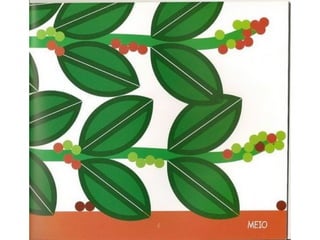 Era uma vez um tatu bola