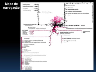 SL (Ilha da Inovação e Criatividade)