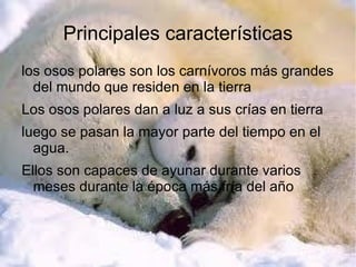 Nombre:yudy marcela erazo lopez