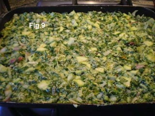 Fig.9