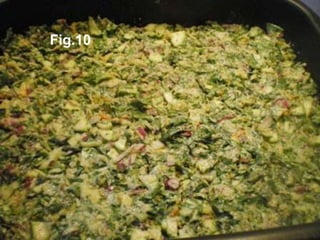 Fig.10