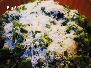 Fig.5