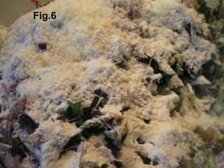 Fig.6