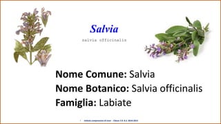 Nome Comune: Salvia
Nome Botanico: Salvia officinalis
Famiglia: Labiate
Salvia
salvia officinalis
• Istituto comprensivo d...