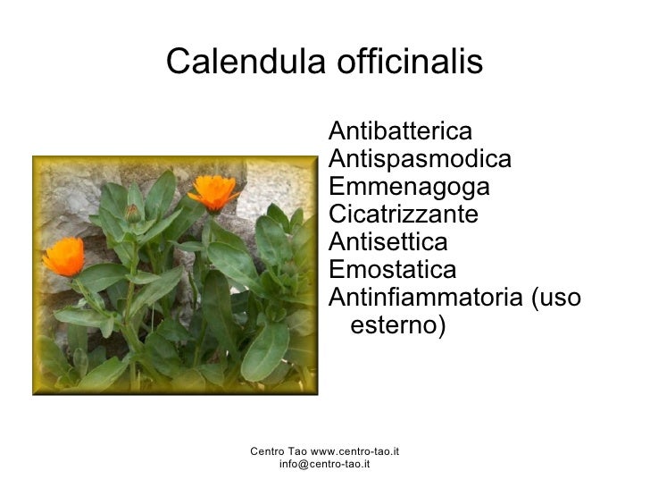 Eczema della pelle sulla testa