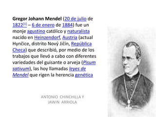 Gregor Johann Mendel (20 de julio de
1822[1] – 6 de enero de 1884) fue un
monje agustino católico y naturalista
nacido en Heinzendorf, Austria (actual
Hynčice, distrito Nový Jičín, República
Checa) que describió, por medio de los
trabajos que llevó a cabo con diferentes
variedades del guisante o arveja (Pisum
sativum), las hoy llamadas leyes de
Mendel que rigen la herencia genética



             ANTONIO CHINCHILLA Y
                JAWIN ARRIOLA
 