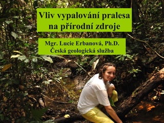 Vliv vypalování pralesa
na přírodní zdroje
Mgr. Lucie Erbanová, Ph.D.
Česká geologická služba
 