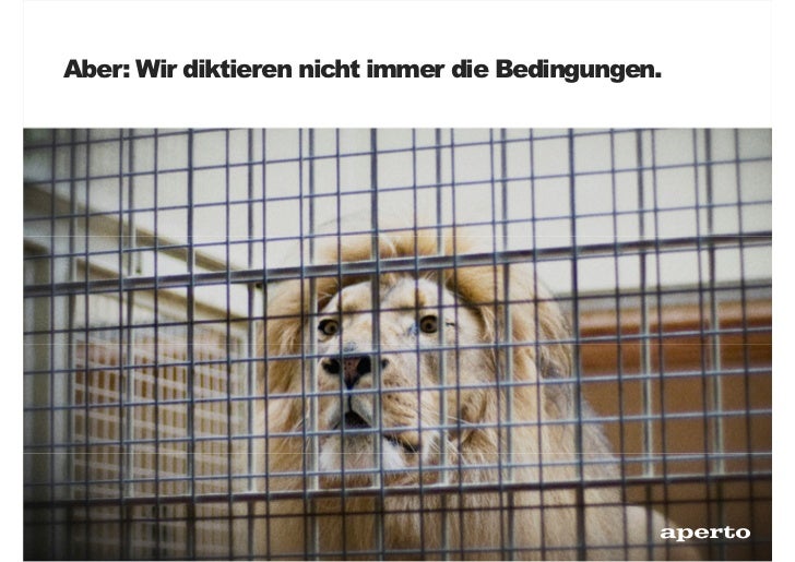 Dürfen wir mit Erbsen auf den Elefanten zielen? Ein Einschätzungsmode…