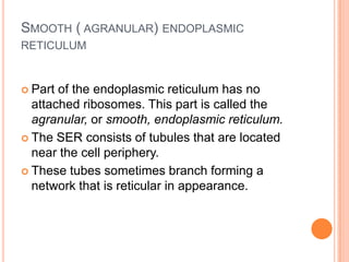 SMOOTH ( AGRANULAR) ENDOPLASMIC
RETICULUM


 Part of the endoplasmic reticulum has no
  attached ribosomes. This part is called the
  agranular, or smooth, endoplasmic reticulum.
 The SER consists of tubules that are located
  near the cell periphery.
 These tubes sometimes branch forming a
  network that is reticular in appearance.
 