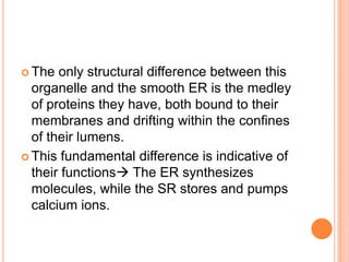  The  only structural difference between this
  organelle and the smooth ER is the medley
  of proteins they have, both bound to their
  membranes and drifting within the confines
  of their lumens.
 This fundamental difference is indicative of
  their functions The ER synthesizes
  molecules, while the SR stores and pumps
  calcium ions.
 