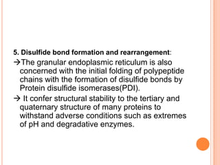 5. Disulfide bond formation and rearrangement:
The granular endoplasmic reticulum is also
 concerned with the initial folding of polypeptide
 chains with the formation of disulfide bonds by
 Protein disulfide isomerases(PDI).
 It confer structural stability to the tertiary and
 quaternary structure of many proteins to
 withstand adverse conditions such as extremes
 of pH and degradative enzymes.
 