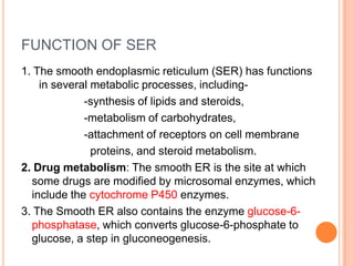 FUNCTION OF SER
1. The smooth endoplasmic reticulum (SER) has functions
    in several metabolic processes, including-
             -synthesis of lipids and steroids,
             -metabolism of carbohydrates,
             -attachment of receptors on cell membrane
               proteins, and steroid metabolism.
2. Drug metabolism: The smooth ER is the site at which
  some drugs are modified by microsomal enzymes, which
  include the cytochrome P450 enzymes.
3. The Smooth ER also contains the enzyme glucose-6-
  phosphatase, which converts glucose-6-phosphate to
  glucose, a step in gluconeogenesis.
 
