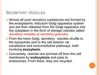 SECRETORY VESICLES
 Almost all such secretory substances are formed by
  the endoplasmic reticulum-Golgi apparatus system
  and are then released from the Golgi apparatus into
  the cytoplasm in the form of storage vesicles called
  secretory vesicles or secretory granules.
 From the trans Golgi, secretory vesicles shuttle to
  the lysosomes and to the cell exterior via
  constitutive and nonconstitutive pathways, both
  involving exocytosis.
 Conversely, vesicles are pinched off from the cell
  membrane by endocytosis and pass to
  endosomes. From there, they are recycled.
 