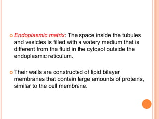  Endoplasmic  matrix: The space inside the tubules
 and vesicles is filled with a watery medium that is
 different from the fluid in the cytosol outside the
 endoplasmic reticulum.

 Theirwalls are constructed of lipid bilayer
 membranes that contain large amounts of proteins,
 similar to the cell membrane.
 