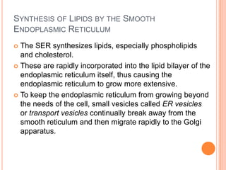 SYNTHESIS OF LIPIDS BY THE SMOOTH
ENDOPLASMIC RETICULUM
 The SER synthesizes lipids, especially phospholipids
  and cholesterol.
 These are rapidly incorporated into the lipid bilayer of the
  endoplasmic reticulum itself, thus causing the
  endoplasmic reticulum to grow more extensive.
 To keep the endoplasmic reticulum from growing beyond
  the needs of the cell, small vesicles called ER vesicles
  or transport vesicles continually break away from the
  smooth reticulum and then migrate rapidly to the Golgi
  apparatus.
 