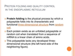 PROTEIN FOLDING AND QUALITY CONTROL
IN THE ENDOPLASMIC RETICULUM


 Protein folding is the physical process by which a
  polypeptide folds into its characteristic and
  functional three-dimensional structure from random
  coil.
 Each protein exists as an unfolded polypeptide or
  random coil when translated from a sequence of
  mRNA to a linear chain of amino acids.
 This polypeptide lacks any developed three-
  dimensional structure (the left hand side of the
  neighboring figure).
 
