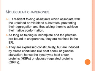 MOLECULAR CHAPERONES
 ER resident folding assistants which associate with
  the unfolded or misfolded substrates, preventing
  their aggregation and thus aiding them to achieve
  their native conformation.
 As long as folding is incomplete and the proteins
  are bound to chaperones, they are retained in the
  ER.
 They are expressed constitutively, but are induced
  by stress conditions like heat shock or glucose
  starvation; hence the synonyms heat shock
  proteins (HSPs) or glucose-regulated proteins
  (GRPs).
 